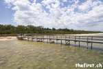 Thrombolites - Lake Clifton