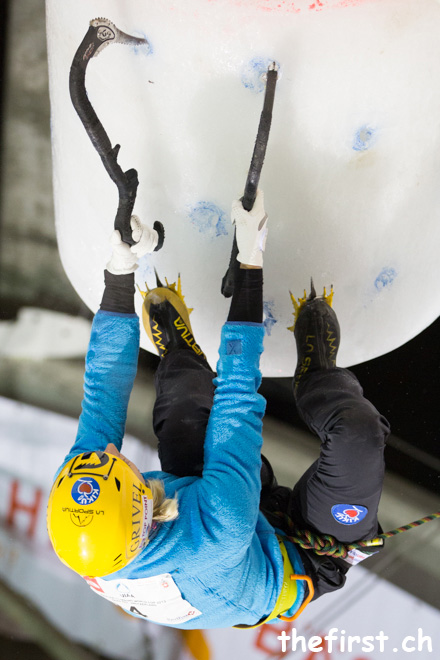 ICE13_WL_42.jpg