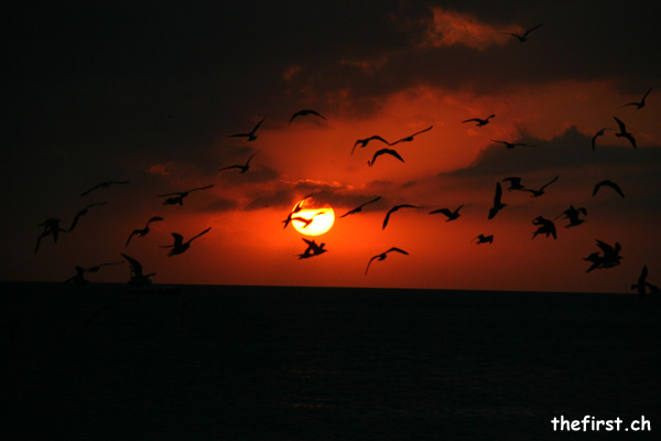 Key West - Florida